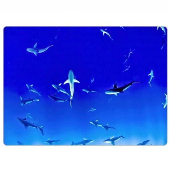 Blue Ocean Sharks Magnet - Picture 5 of 5